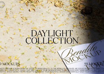 Daylight Collection