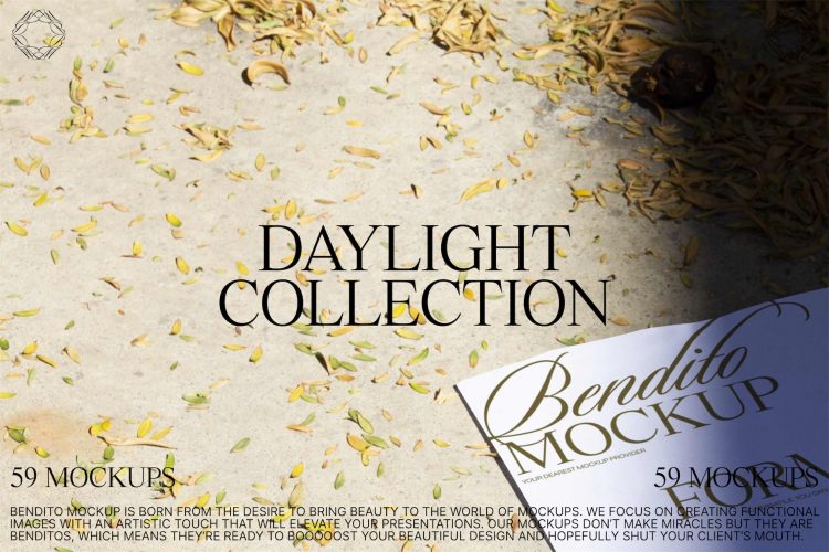 Daylight Collection